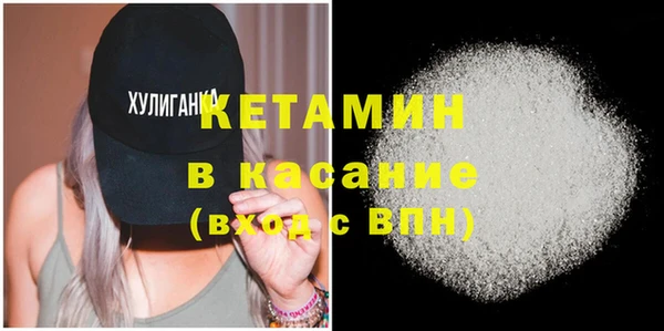 прущие грибы Каменногорск