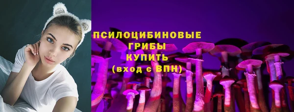 молекула духа Касимов
