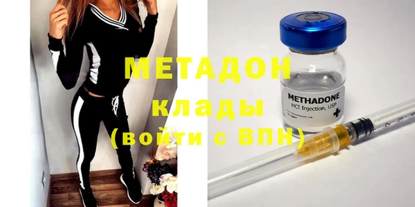 прущие грибы Каменногорск