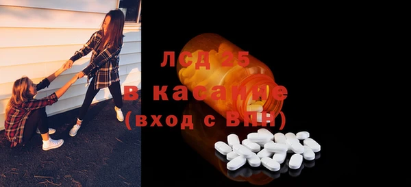 прущие грибы Каменногорск
