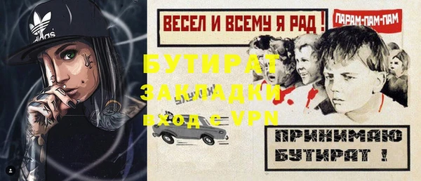 прущие грибы Каменногорск
