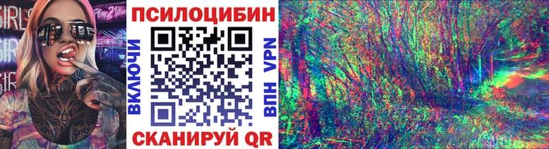 Купить где  Биробиджан  Галлюциногенные грибы Psilocybe 